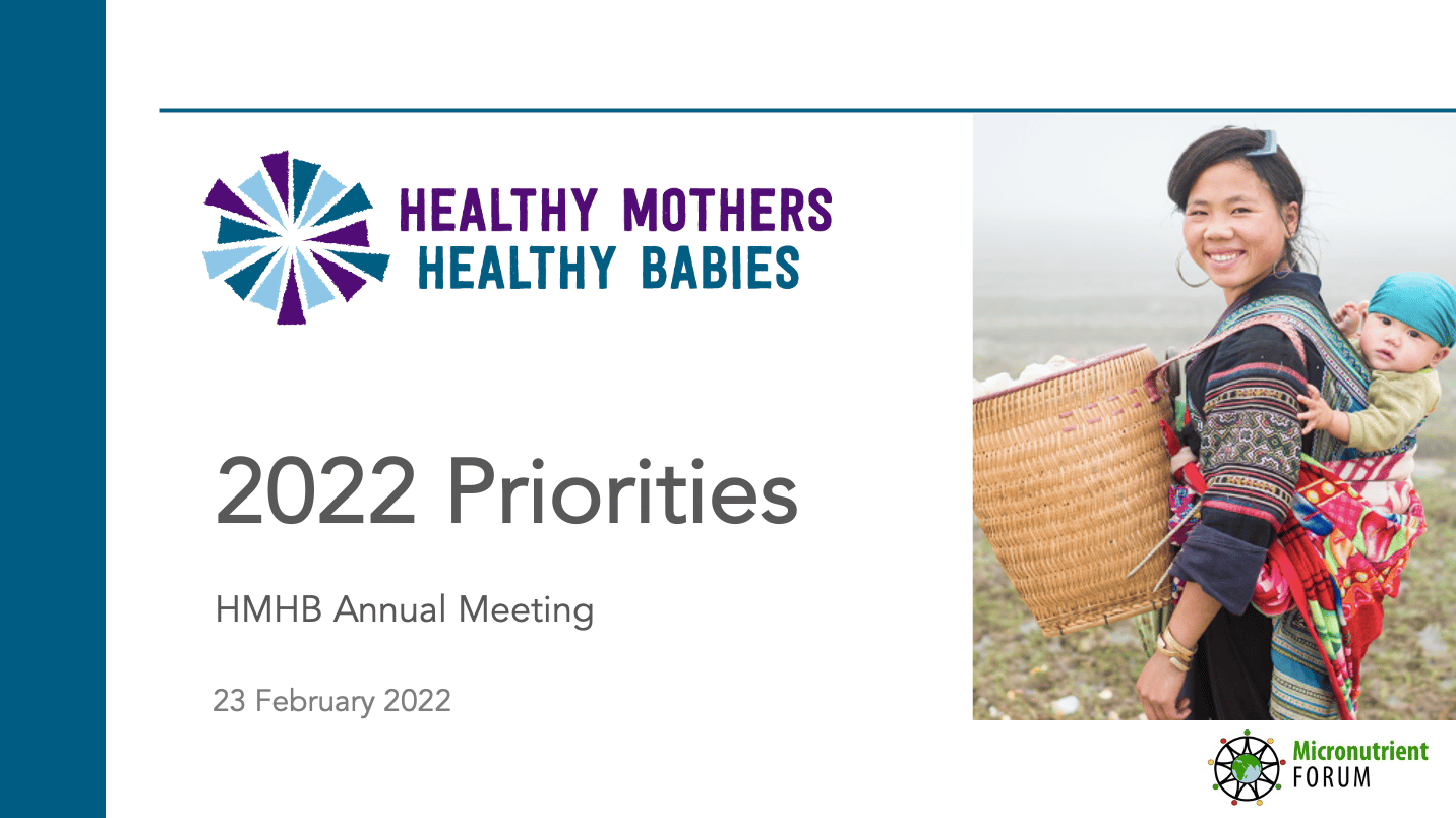 HMHB's First Annual Meeting for Members - Healthy Mothers Healthy ...